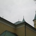 krzyze2015 (20)